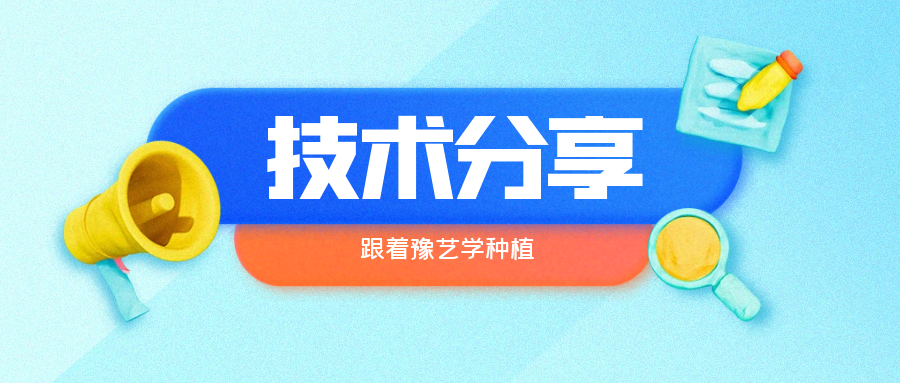 秋大棚辣椒、番茄育苗關(guān)鍵技術(shù)分享